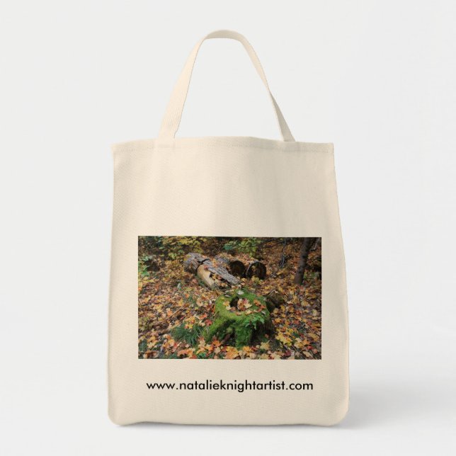 Bag2 Tote Bag (Front)