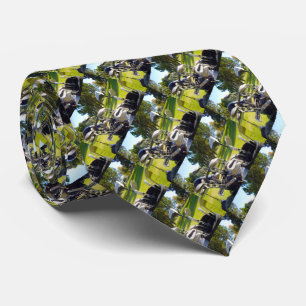 Bag Full Of Golf Clubs, Neck Tie