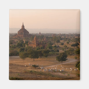 Bagan at Dusk Magnet
