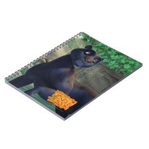 Bagheera 3 notebook