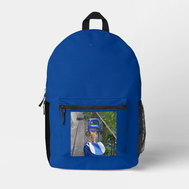 Bagpack kids back to school printed backpack (Front)