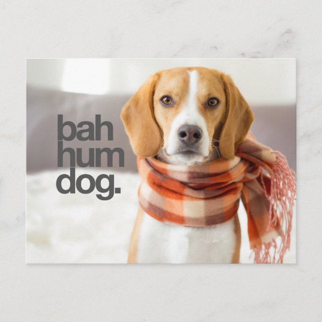 "Bah Hum Dog" Beagle Postcard (Front)