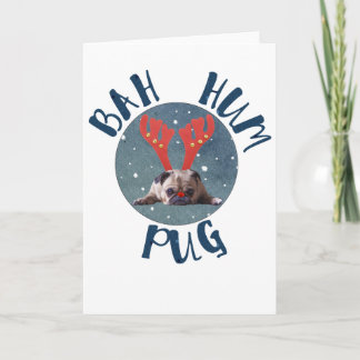 Bah Hum Pug! Holiday Card