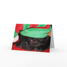 "Bah Hum Pug!" Holiday Greeting Card