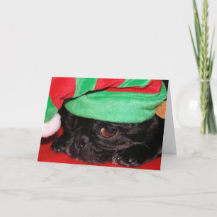 "Bah Hum Pug!" Holiday Greeting Card