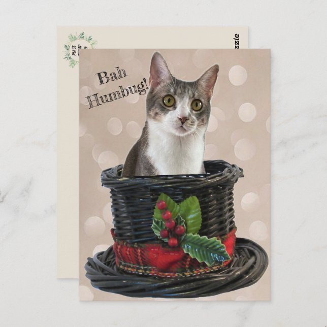 Bah Humbag Tito The Cat Postcard (Front/Back)