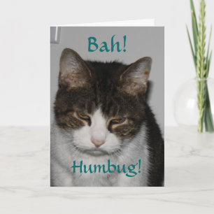 Bah! Humbug! - Cat's Holiday Greeting Card