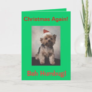 Bah Humbug  doggie tshirt Holiday Card