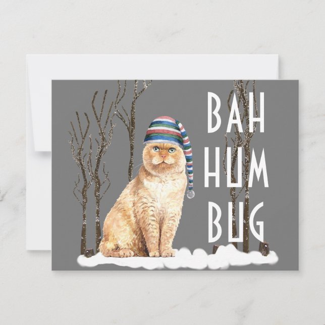 Bah Humbug Funny Cat Christmas Postcard (Front)