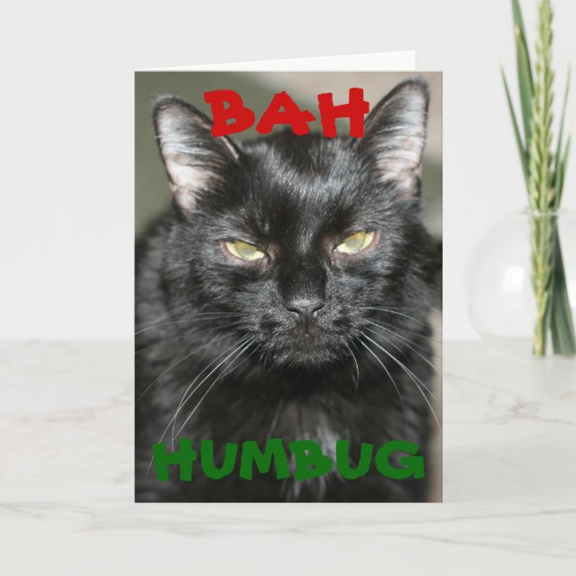 Bah Humbug Grumpy Cat Holiday Greeting Card (Front)