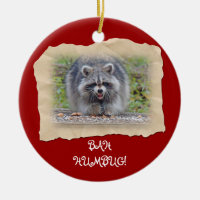 Bah Humbug Racoon