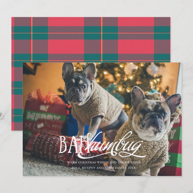 Bah Humbug Silly Pet Photo Holiday Card (Front/Back)