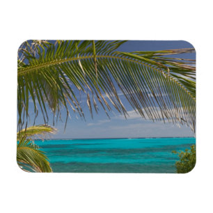 BAHAMAS, Abacos, Loyalist Cays, Man O'War Cay: Magnet