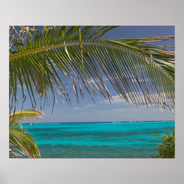 BAHAMAS, Abacos, Loyalist Cays, Man O'War Cay: Poster (Front)