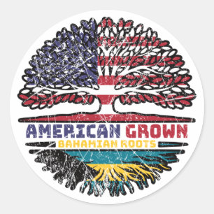 Bahamas Bahamian US American USA United States Classic Round Sticker