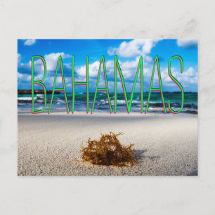 Bahamas Beach Close-Up Postcard