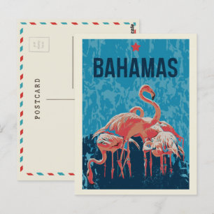 Bahamas Caribbean Pink Flamingos Postcard