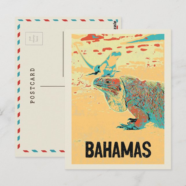 Bahamas Carribean, typical Caribbean Iguana Postca Postcard (Front/Back)
