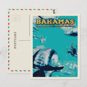 Bahamas Carribean, wonders of the underwater world Postcard