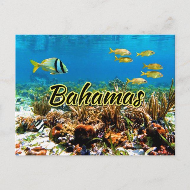 Bahamas coral reef postcard (Front)
