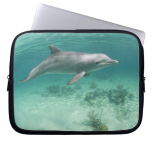 Bahamas, Grand Bahama Island, Freeport, Captive 6 Laptop Sleeve