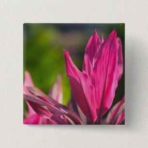 BAHAMAS, New Providence Island, Nassau: Paradise 15 Cm Square Badge