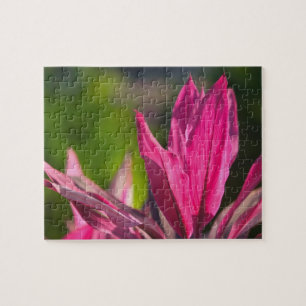 BAHAMAS, New Providence Island, Nassau: Paradise Jigsaw Puzzle