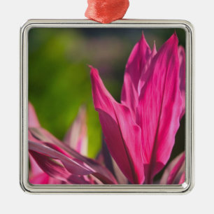 BAHAMAS, New Providence Island, Nassau: Paradise Metal Tree Decoration