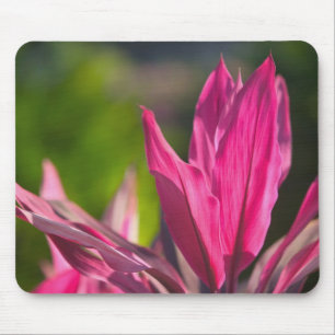 BAHAMAS, New Providence Island, Nassau: Paradise Mouse Mat