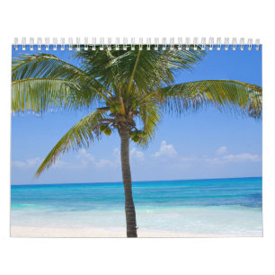 Bahamas Palm Tree Calendar