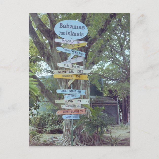 Bahamas Postcard (Front)