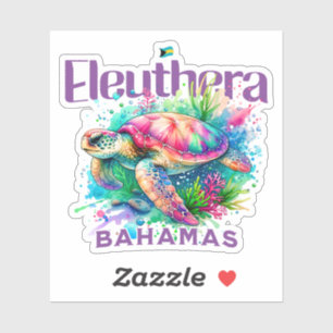 Bahamas Souvenir Gift : Eleuthera Bahamas Turtle