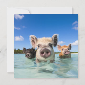 Bahamas Swimming Pig 2024 Holiday Card