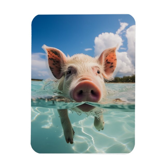 Bahamas Swimming Pig Magnet (Vertical)