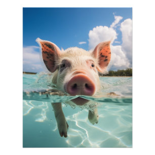 Bahamas Swimming Pig Photo Print