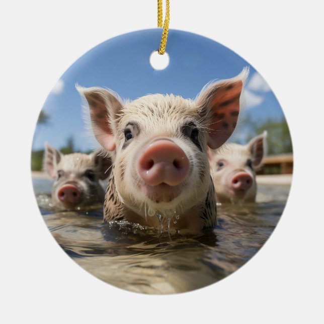 Bahamas Swimming Pigs - Exuma Pig Beach Adventure Ceramic Tree Decoration (Front)