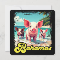 Bahamas Swimming Pigs - Exuma Pig Beach Adventure