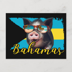 Bahamas Swimming Pigs - Exuma Pig Beach Adventure Postcard