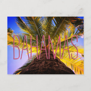 Bahamian Tree Postcard