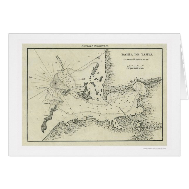 Bahia De Tampa Florida Map 1809 (Front Horizontal)