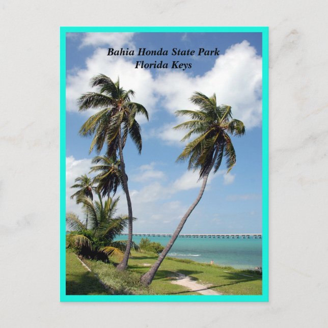 Bahia Honda State Park Florida Keys Photo Print Holiday Postcard (Front)