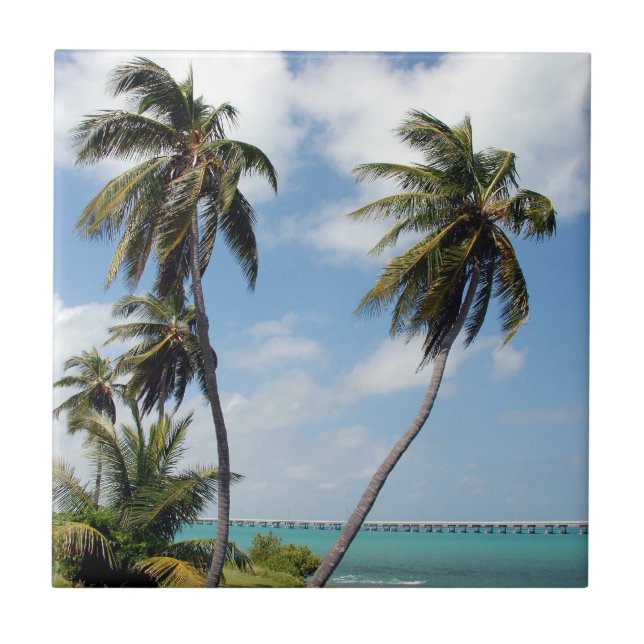 Bahia Honda State Park Tile (Front)