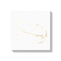 Bai Shao Canvas Print