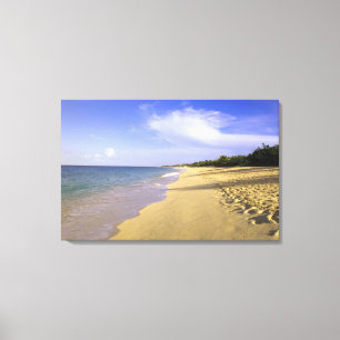 Baie Longue Long Bay beach, St. Martin, Canvas Print