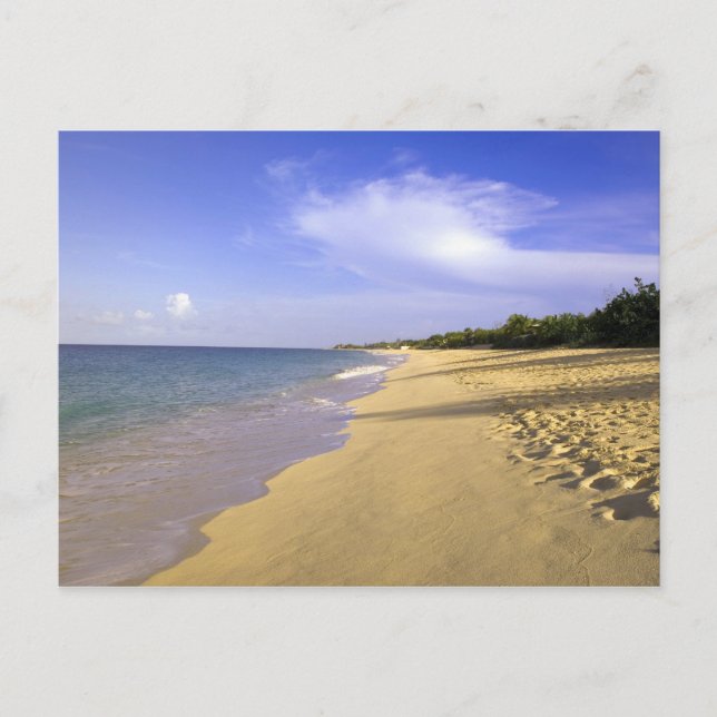 Baie Longue Long Bay beach, St. Martin, Postcard (Front)
