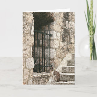 "bail me out" Card (blank inside)