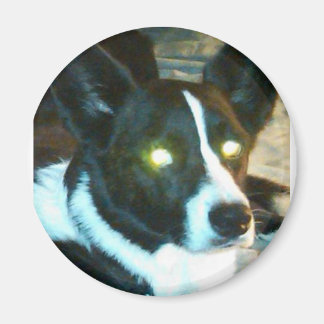 Bailey Magnet