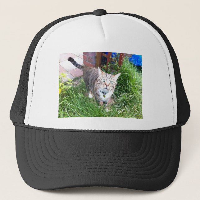 Bailey the cat hat (Front)