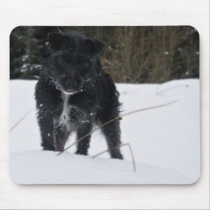 Bailey The Patterdale Terrier Mouse Mat