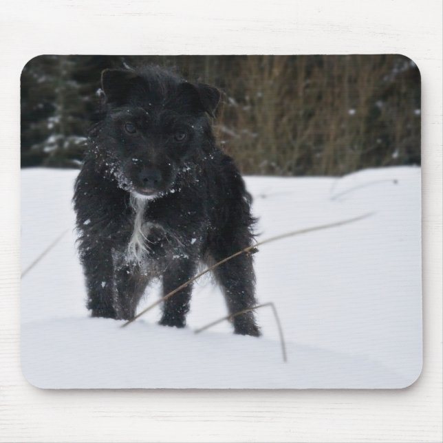 Bailey The Patterdale Terrier Mouse Mat (Front)